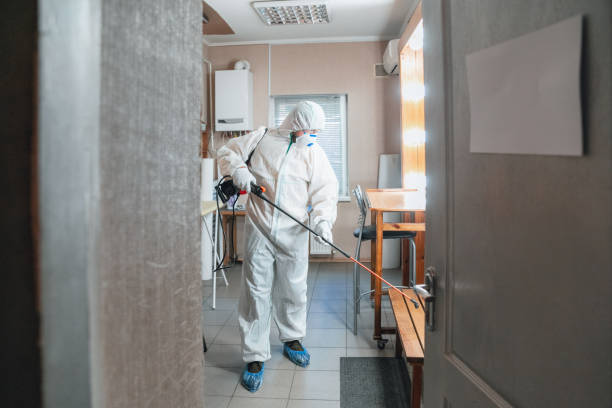 Best Industrial Mold Remediation  in Milford, PA