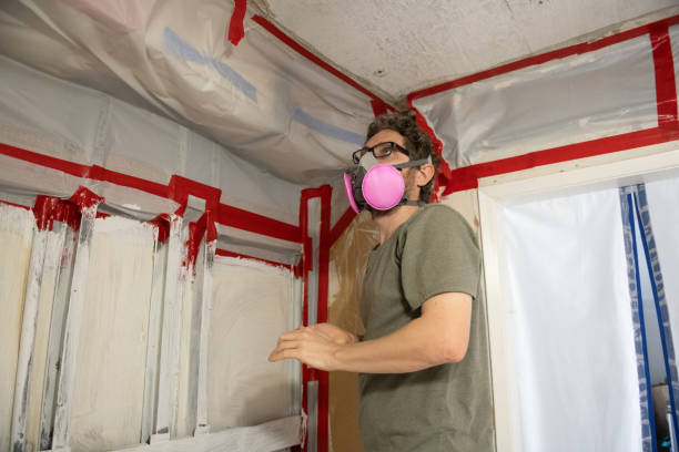 Best Mold Removal for HVAC Installations  in Milford, PA